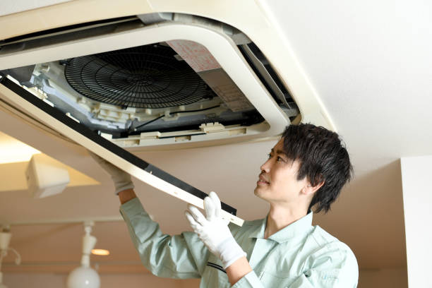 Best Air Vent Cleaning Services  in Parkway, CA